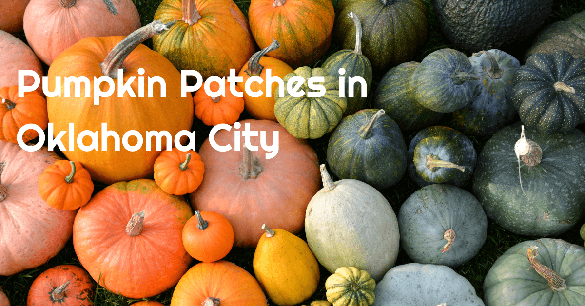 pumpkin patches in oklahoma city